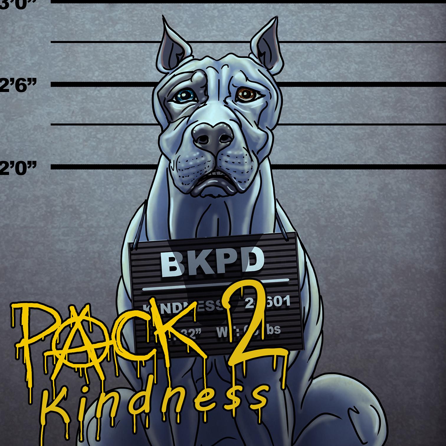 “PACK #2: Kindness” Has Arrived!